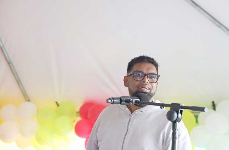 President Dr Irfaan Ali