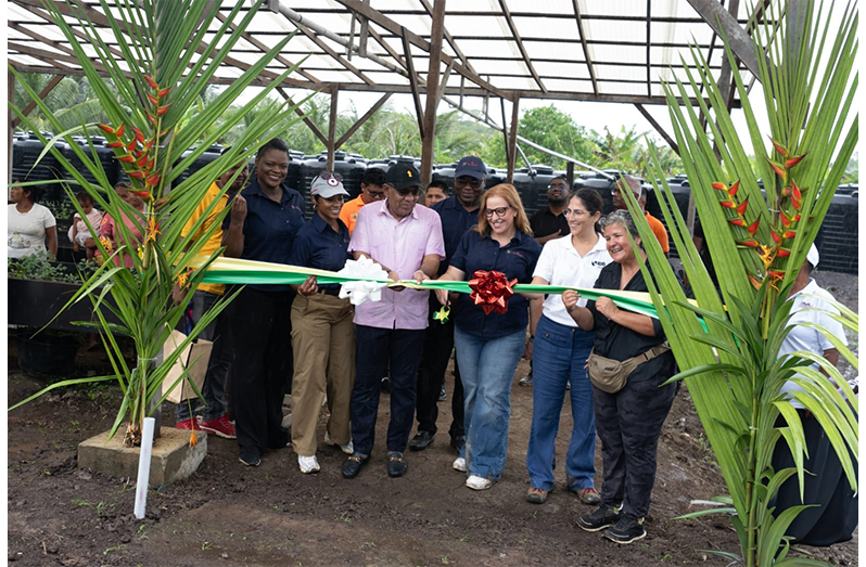 Women groups in Morawhanna and Smith Creek, Mabaruma, Region One, now have access to climate-smart shade houses. The two facilities which were funded by the Greater Guyana Initiative (GGI) and implemented by the Guyana Marine Conservation Society (GMCS), are expected to support community-led development and help communities respond to climate-related challenges (GGI photos)