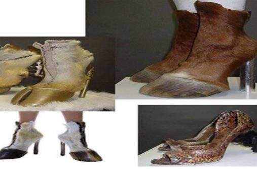 What shocking shoes. Are these shoes to die for?