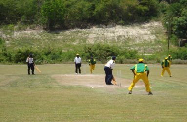 softball-cricket