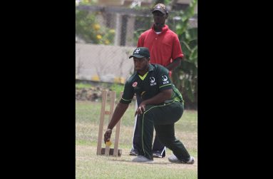 A New Amsterdam bowler in action.