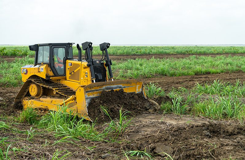 The traditional Dutch beds in the cane fields at the Albion Sugar Estate are being converted to wider beds (Delano Williams photos)