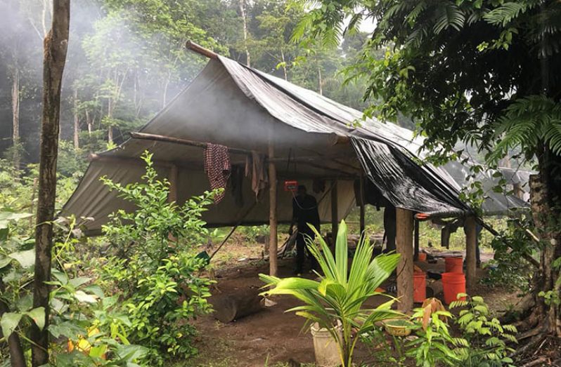 A tent that was found on the marijuana farm