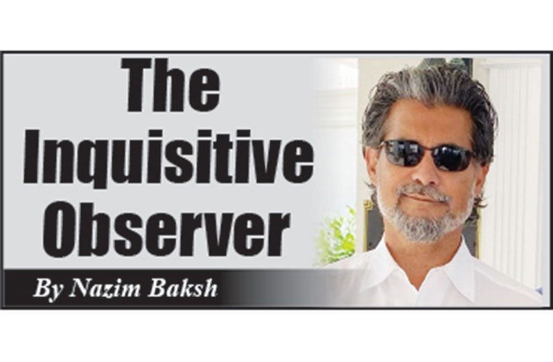 the-inquisitive-observer