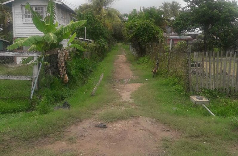 The track the bandits used to escape after robbing the Sankar family on Monday