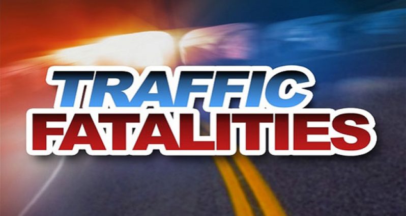 traffic+fatalities1