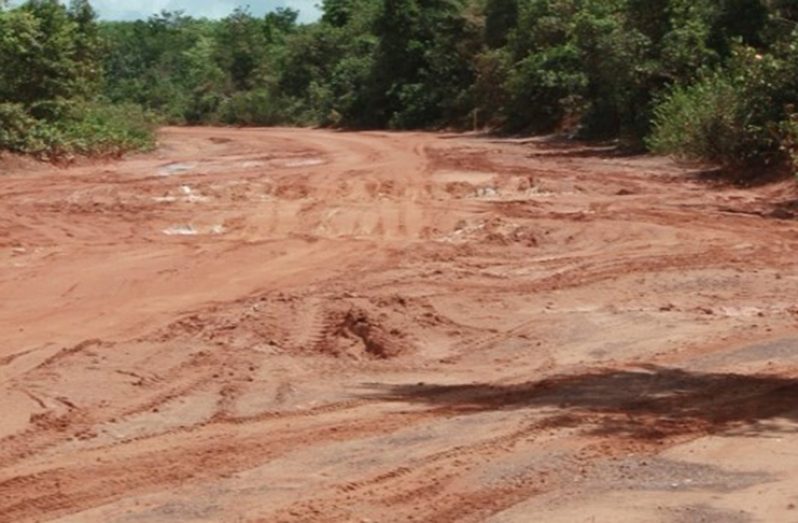 Lethem trail to become operable soon -- Minister Patterson