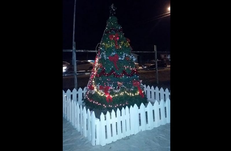 The tree was lit up in the town of Anna Regina