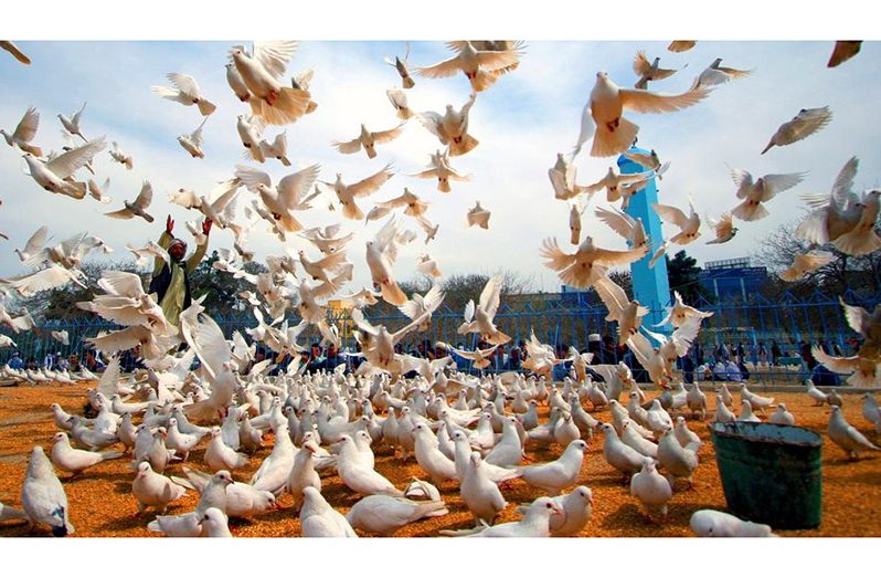 Peace doves fly on the grounds of the historic Hazrat-i-Ali mosque, in the city of Mazar-i-Sharif, Afghanistan. (UN Photo/Helena Mulkerns)