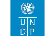 undp