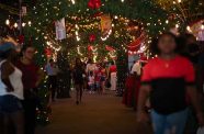 The One Guyana Christmas Village and Supermarket (Delano Williams photo)