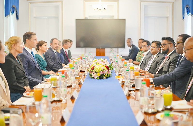 During Thursday’s meeting, several priority areas were discussed including food security, improvements in government efficiency and strengthening national security frameworks (President Dr Irfaan Ali/Facebook)