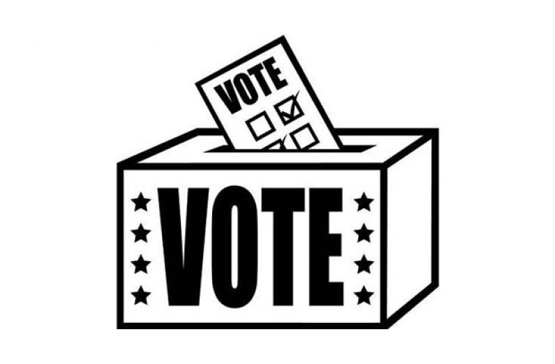 vote