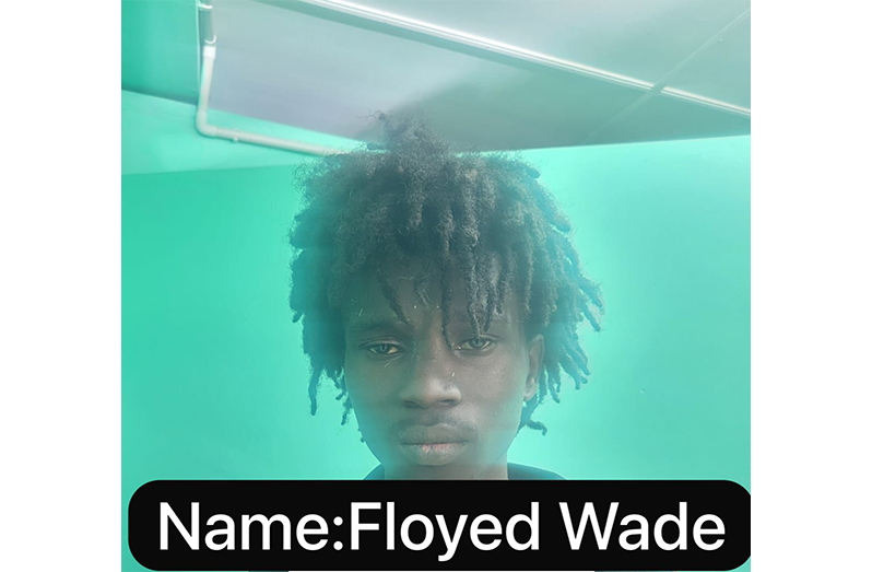 wade
