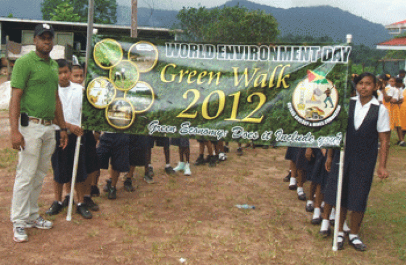 walk-2012