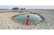A woman collects water in drought-affected Satkhira district in western Bangladesh (DP/Ab Rashid)