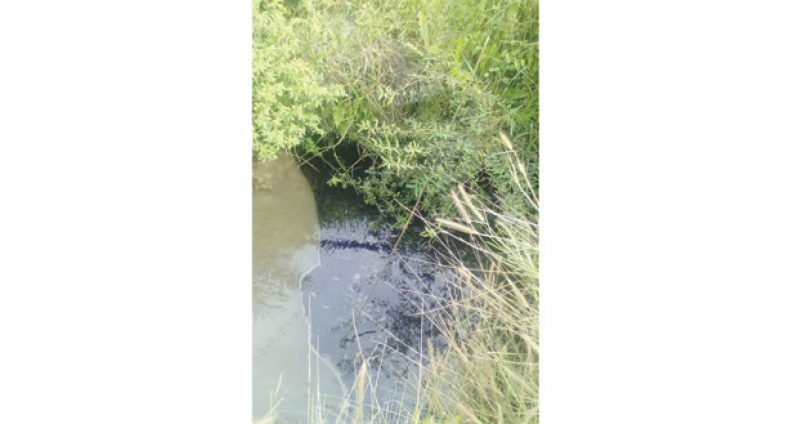 A section of the waterway at the Constabulary
Compound shows pollution by the oil spill