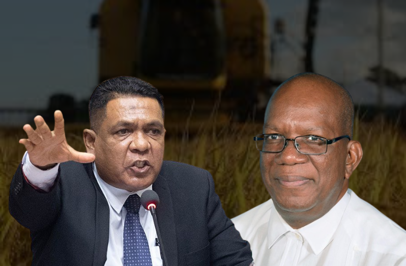 Agriculture Minister Zulfikar Mustapha and former Finance Minister  under APNU+AFC, Winston Jordan