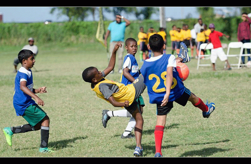 Knockout action in the Courts Optical Pee Wee football tournament begins today