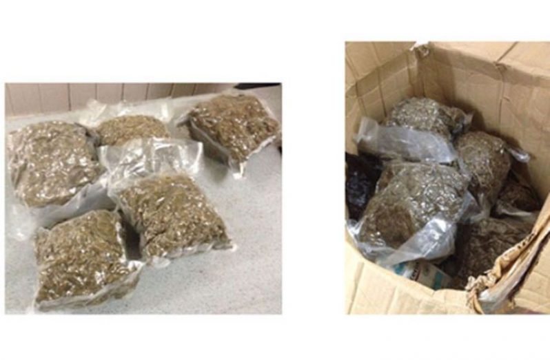 The Cannabis that was found in the boxes