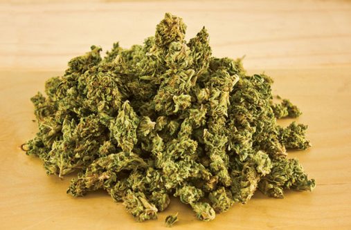 weed
