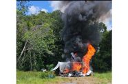 The camp and the cannabis were destroyed by fire on-site