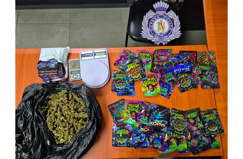 The seized cannabis during an intelligence-led operation at Victoria Road, Plaisance, East Coast Demerara