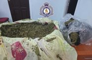 Police found a bulky salt bag and a bulky black plastic bag, both containing quantities of leaves, seeds and stems suspected to be cannabis