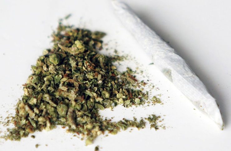 weed_marijuana