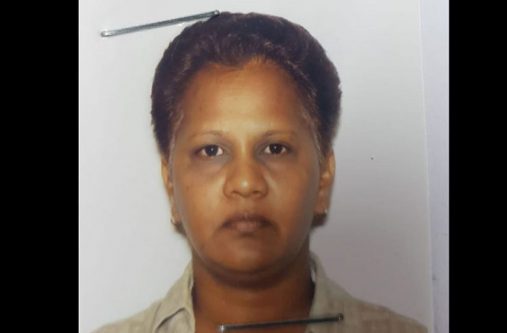 FREED Milami Alli