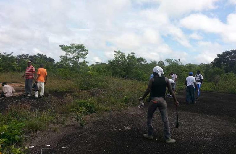 Workers clearing bush from off the airstrip