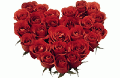 ws_red_roses_heart_1280x10241
