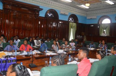 Participants at youth parliament 2017 (Parliament photo)