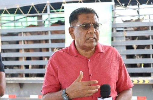 Agriculture Minister, Zulfikar Mustapha, on Monday, distributed dairy stock to farmers as part of the Government of Guyana’s ongoing efforts to strengthen and expand the country’s dairy industry (MoA photos)