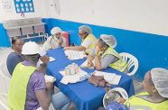 The inspection team, comprising OSH Officers Mr. Ray Hosannah and Ms. Delcina Small,