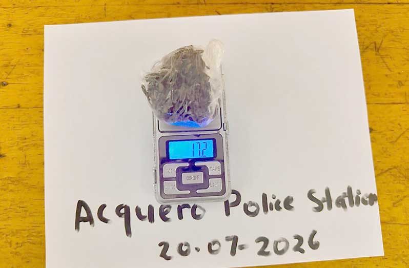 The cannabis seized by police